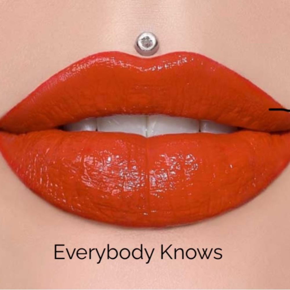 Everybody Knows, NIB Jeffree Star Supreme Gloss
Full Pigmented Lip Gloss